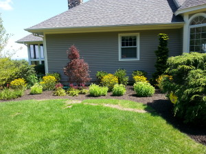 Landscaping Meredith New hampshire