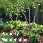 Our Services Property Maintenance