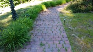 Paver restoration and renovations before