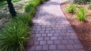 Patio Paver Maintenance with Techniseal